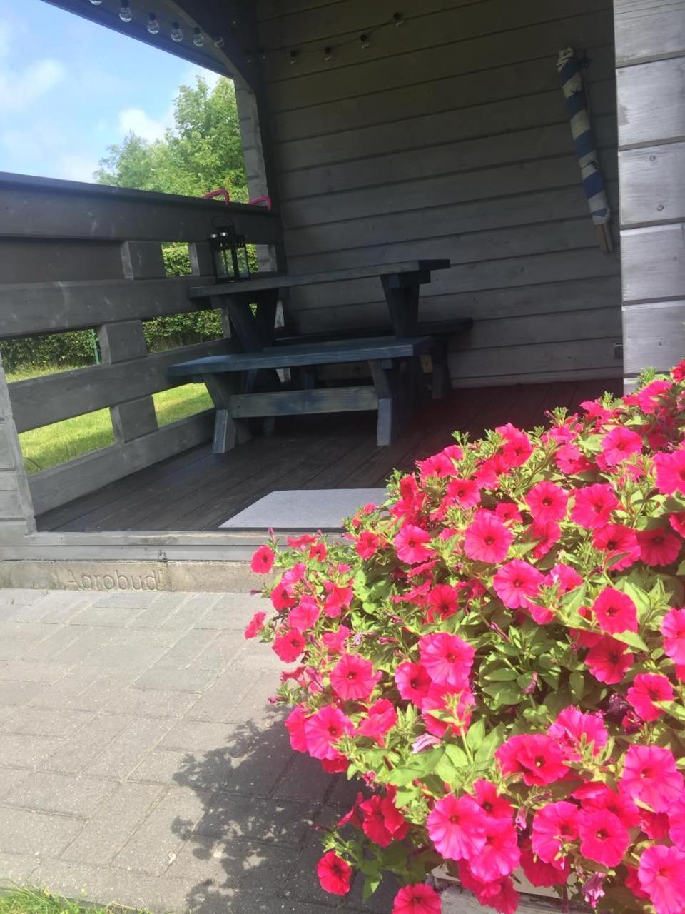 Domki Szenodo Na Jodlowej Debina  Buitenkant foto